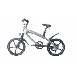 Cruzaa E-BYKE e-bike (grey)