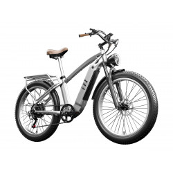 EVX Efatbike / Electric bike DIAMOND, suspension, 500W motor