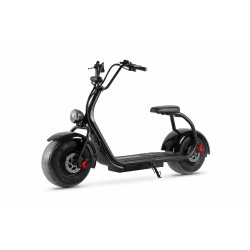 EVX FAT 2000W electric scooter 2023 (alarm, battery 12Ah, 35km)